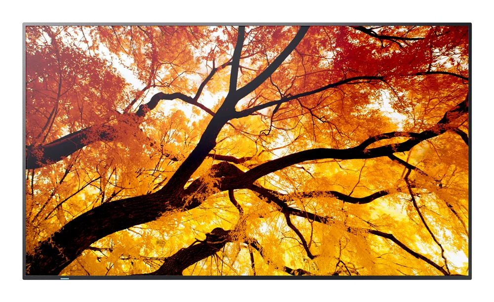 Monitor LED SHARP DISPLAY Monitor Profesional Sharp 75 Pn-M752 UHD 3840 X 2160 24