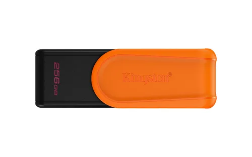 Memorias USB Kingston Technology DTXS/256GB | Tec-Micro